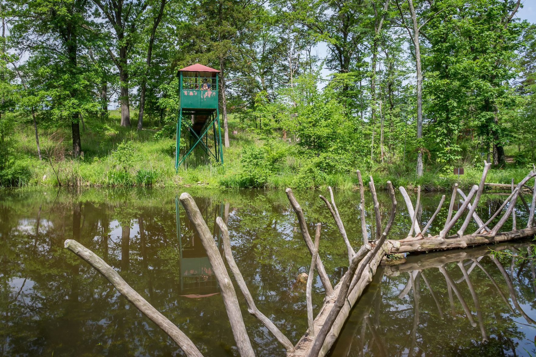 Shaw Nature Reserve